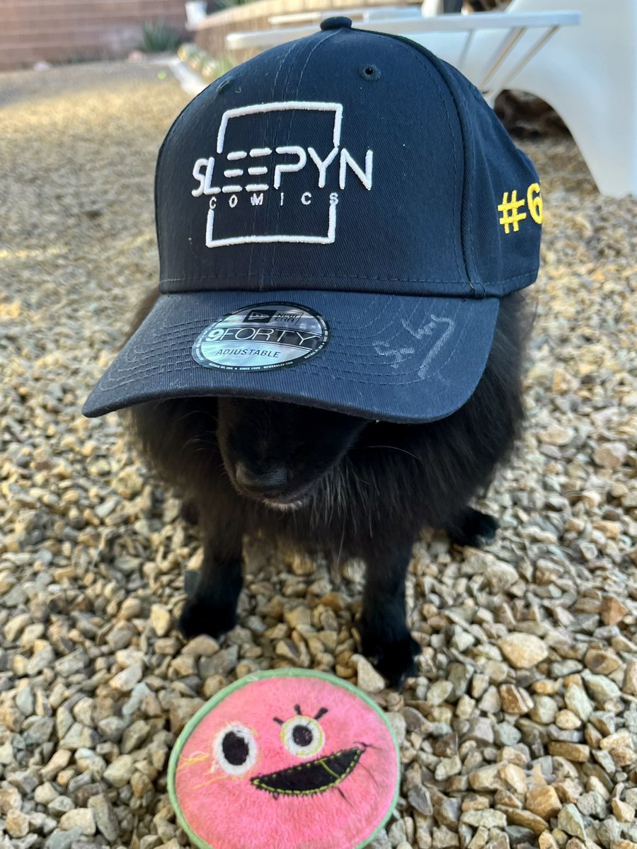 EllaMonkima's tweet photo. My Pom, VeVe, loves to wear my #60 @SleepynComics hat! Ty, gonna look sharp at #DCon ⭐️ #comics #vevefam 🧢⭕️🧢 https://t.co/1qxkgSyW51