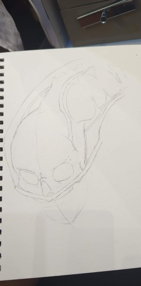 dieolated's tweet photo. here's also more badly-timed art postings, since I won't make the 13 days of Halloween timeline https://t.co/X7tnt7kqw7