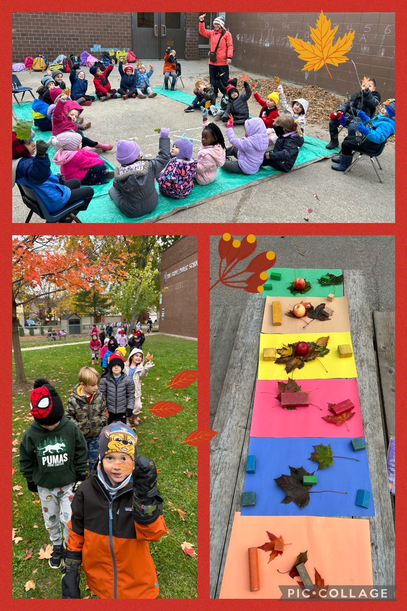 Mrs DT (@mrs_dt) on Twitter photo Our K1 class family made predictions about which colour fall leaves we would find the most of on our walk this morning. <a href="/takemeoutside/">Take Me Outside</a> @ColleenFast1 <a href="/PineGrovePS/">Pine Grove P.S. 🌲</a> <a href="/dsbn/">District School Board of Niagara</a> #TakeMeOutsideDay Our K1 class family made predictions about which colour fall leaves we would find the most of on our walk this morning. <a href="/takemeoutside/">Take Me Outside</a> @ColleenFast1 <a href="/PineGrovePS/">Pine Grove P.S. 🌲</a> <a href="/dsbn/">District School Board of Niagara</a> #TakeMeOutsideDay