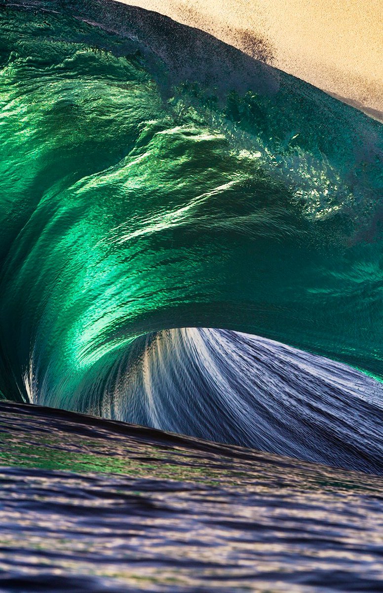 Andrew Semark tweet media