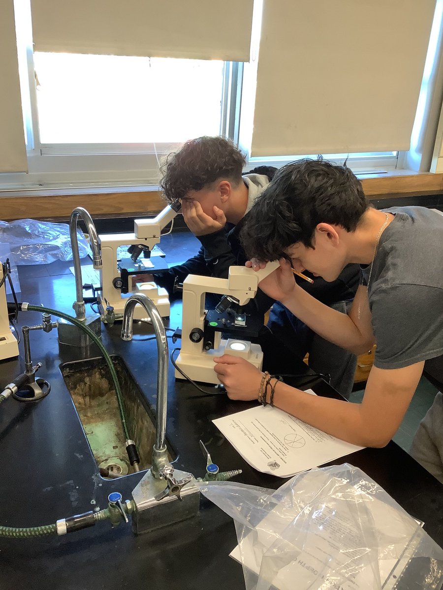 MrGendels's tweet photo. Always a great time when we get to work with microscopic organisms! 🔬Students worked very hard while practicing their microscope skills. #MineolaProud #MineolaLE @mineolahs #biology https://t.co/2pSFZz6j7E