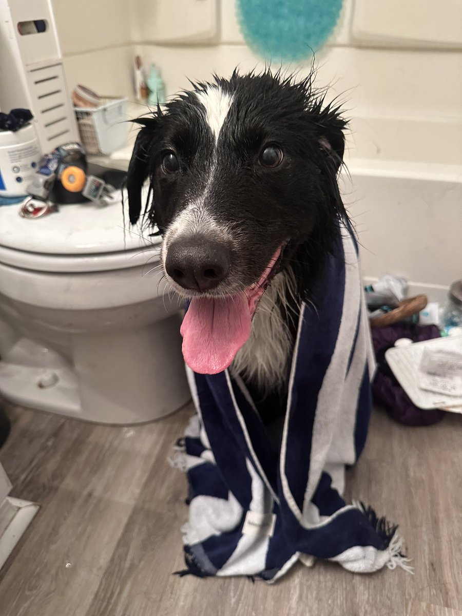 HitByaCarli's tweet photo. He’s just the cutest #bathtime https://t.co/S8cwRr28p7