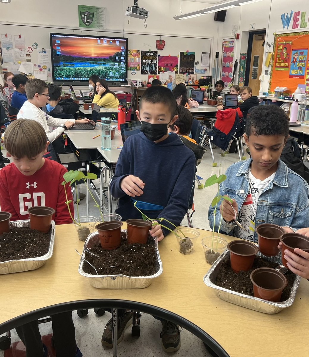 CraigsCrew's tweet photo. Plant proposals are completed and seeds are growing. We’re ready to take our plants home so that experimenting can begin! 🪴 https://t.co/QJvnc4NTQq