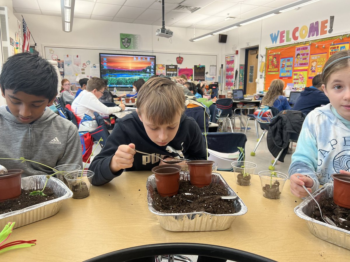CraigsCrew's tweet photo. Plant proposals are completed and seeds are growing. We’re ready to take our plants home so that experimenting can begin! 🪴 https://t.co/QJvnc4NTQq