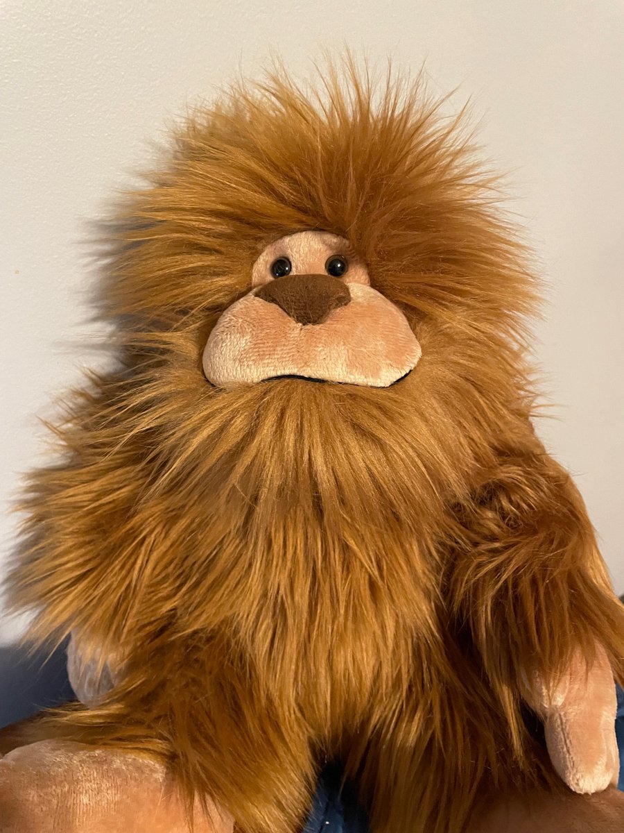 Outhouse69's tweet photo. @SteveSims9 Meet my mascot - Sassafras. https://t.co/GrBK2jbj7w