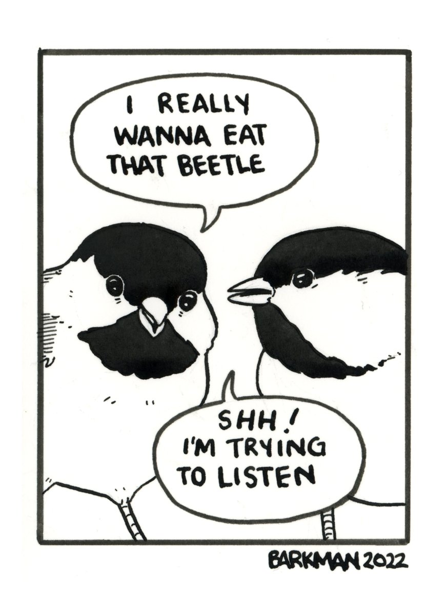 [19/31] (3 images) 