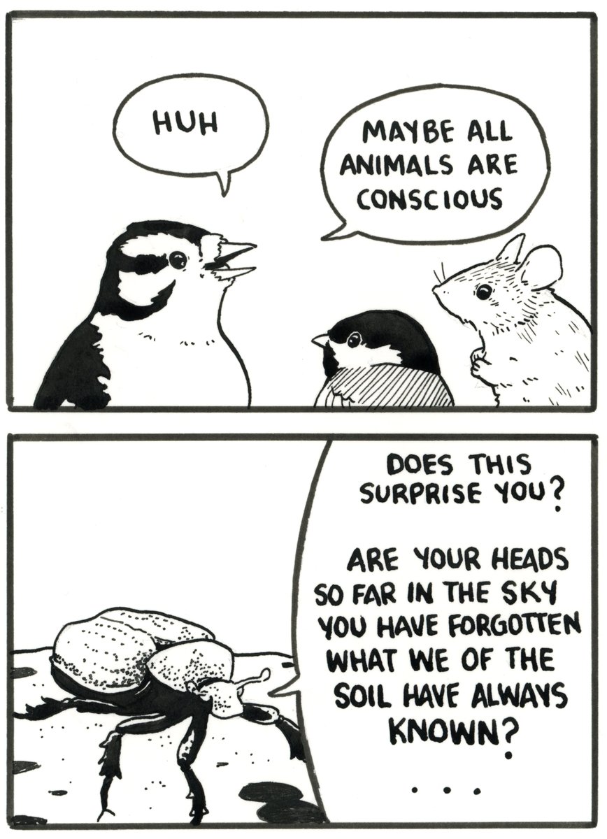 [19/31] (3 images) 