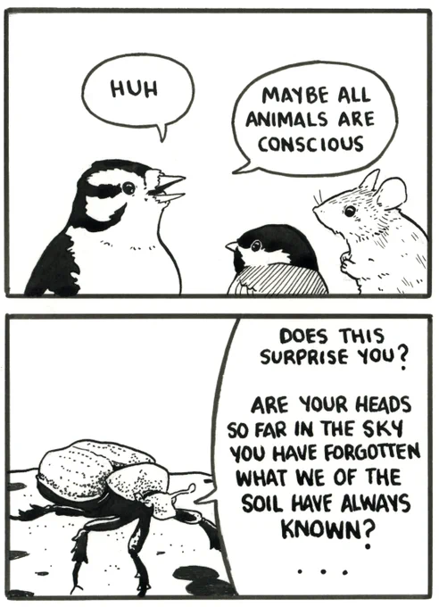 [19/31] (3 images) 
