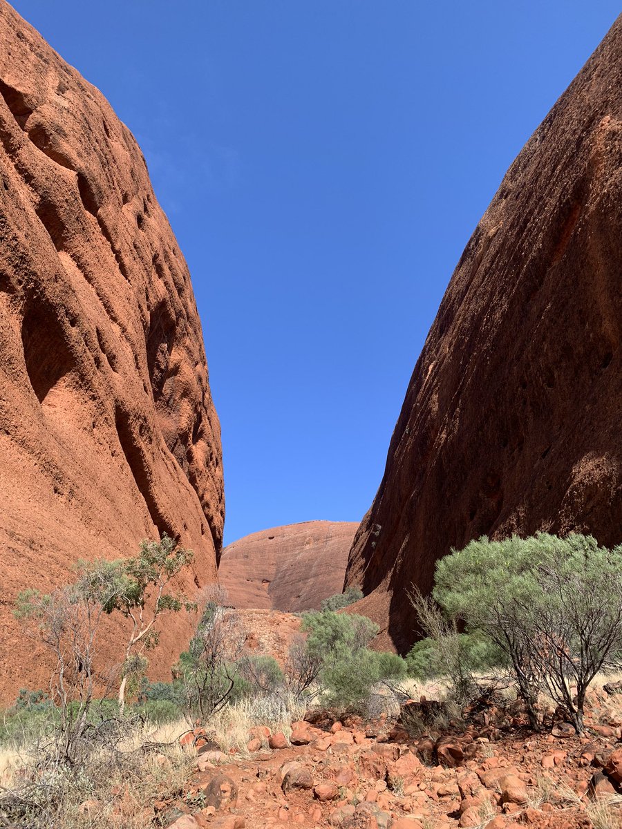 jmcheer1's tweet photo. #IndigenousTourism is steeped in people, place, space and environment.

“This is Anangu land and you are welcome. Look around and learn in order to understand Anangu and also understand that our culture is strong and alive.”
#AnanguFutures | #ARCLinkageProject | @UniMelb https://t.co/03WxEP5SIB