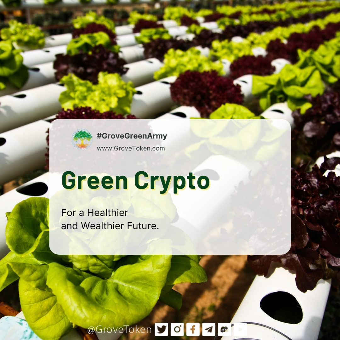 MACGROUP8's tweet photo. #GroveKnowledge
🌳💚🌍
#GroveBusiness GO Green Initiatives
Fact:
🌳 78% of marine mammals are at risk of choking on plastic; microplastic can't be detected by human eyes & consume daily
#NoPlanetB #GroveStrong #GreenOasis #ProtectTheEarth #GroveCares #GoGreen #SDGs #GroveToTop50 https://t.co/o2PTu9yAPl