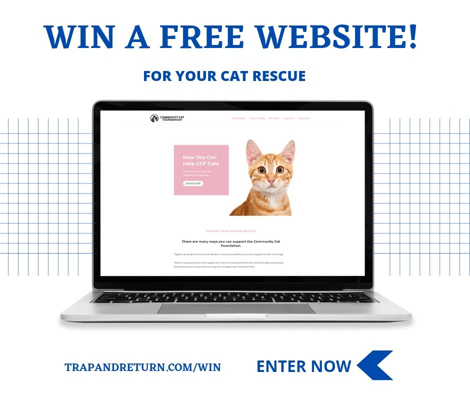 The contest ends soon, ENTER NOW! Win A Free Website For Your rescue. Trapandreturn.com/win #TNR #animalrescue #fundraising #marketing #nonprofit