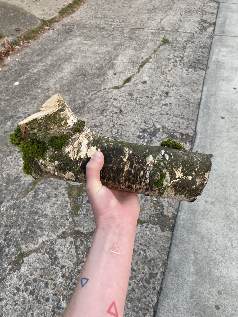 HammerFist3's tweet photo. Got a free log this morning pretty excited about it https://t.co/aTsAdZmZ1L