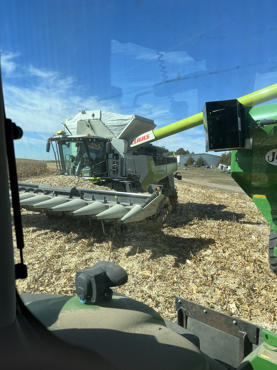 RossMartin30's tweet photo. Claas 8600tt giving perfect sample for food grade corn. @CLAAS_America https://t.co/GGmsD1NwRe