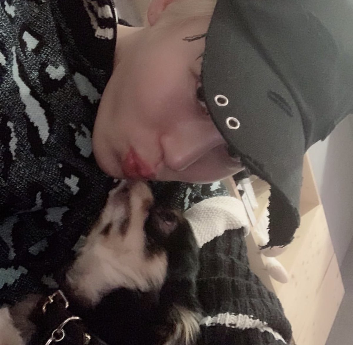 00s__cloud's tweet photo. A mi me dijeron que en el #𝑤on͟d͟er𖤐𝑑ǝbut entraba quien quisiera así que me vine a la aventura con mi pulgoso a literalmente ladrarle a nuestra rorra la Sadie 🫡 póngase al tiro mamita que le vamos a gritar todas las barbaridades posibles, i love you, pelona! (っ'ヮ'c) https://t.co/ARNQfghnEq