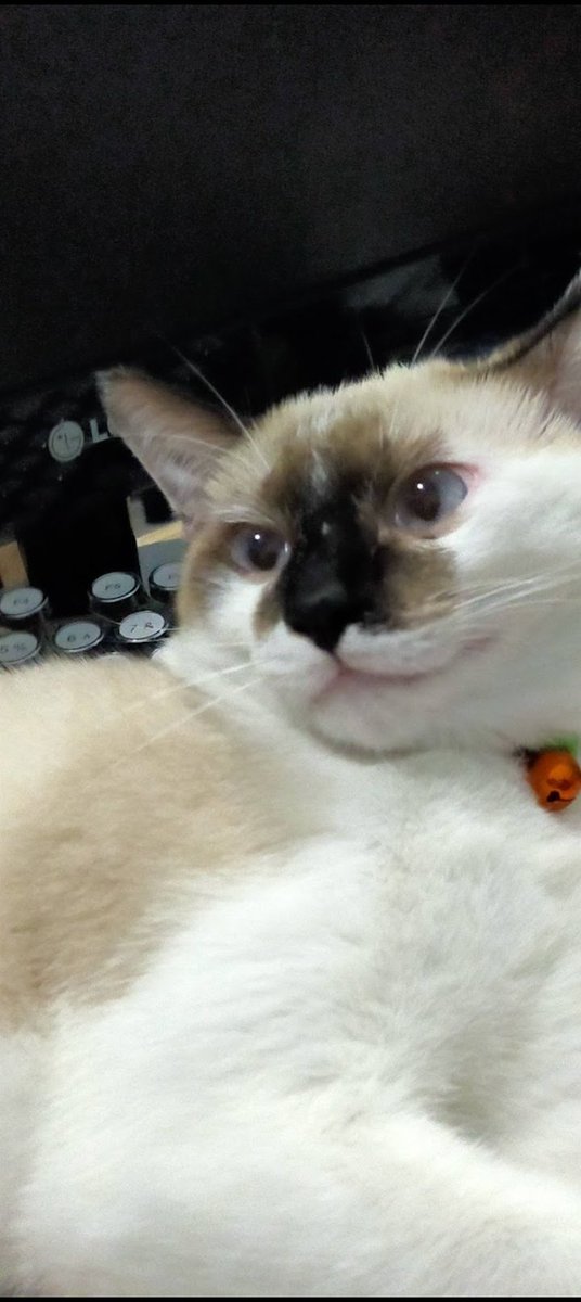 Paris  tweet media