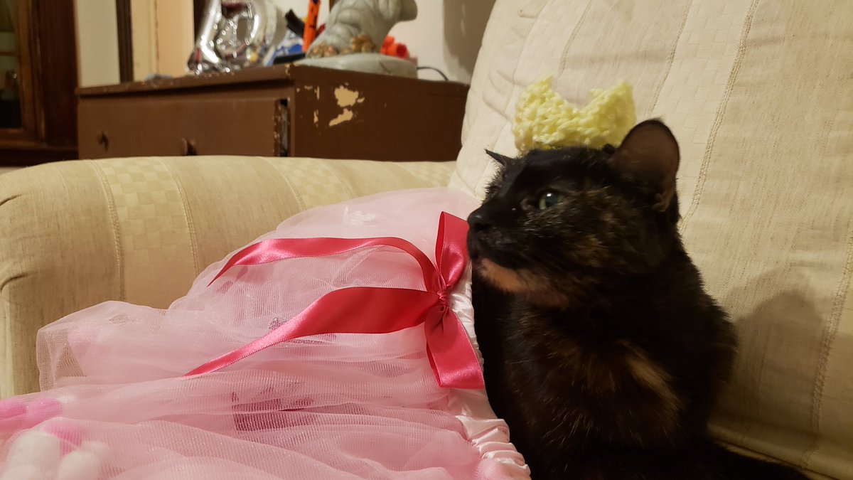 Nature_League's tweet photo. Sweet Baby Jane turned 15 today and let me tell you, the festivities were fit for a queen https://t.co/yehGfpU57B