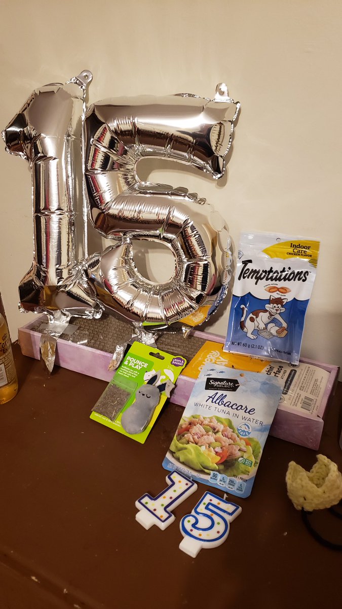 Nature_League's tweet photo. Sweet Baby Jane turned 15 today and let me tell you, the festivities were fit for a queen https://t.co/yehGfpU57B