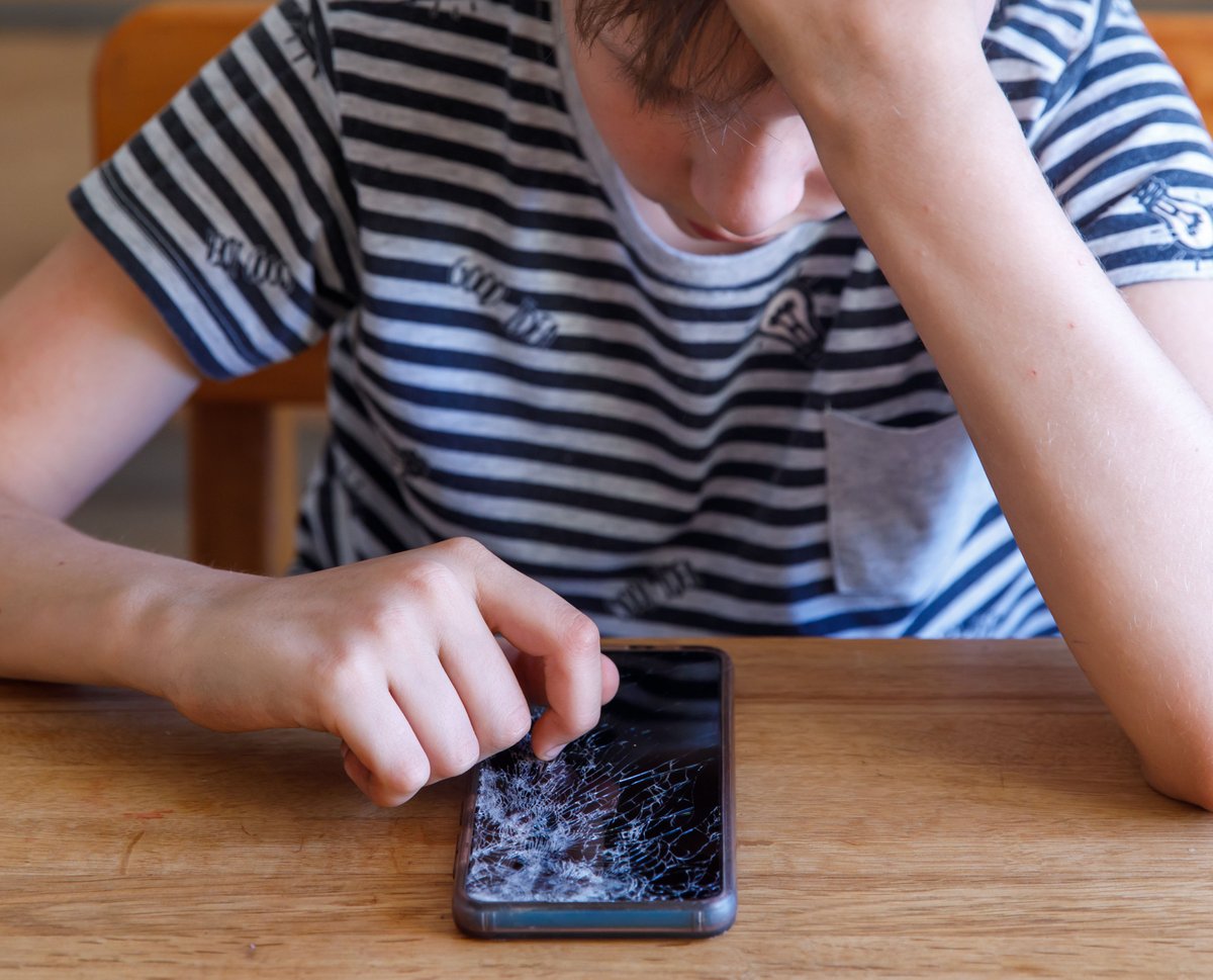 Digital Inclusion and Participation Research tweet media