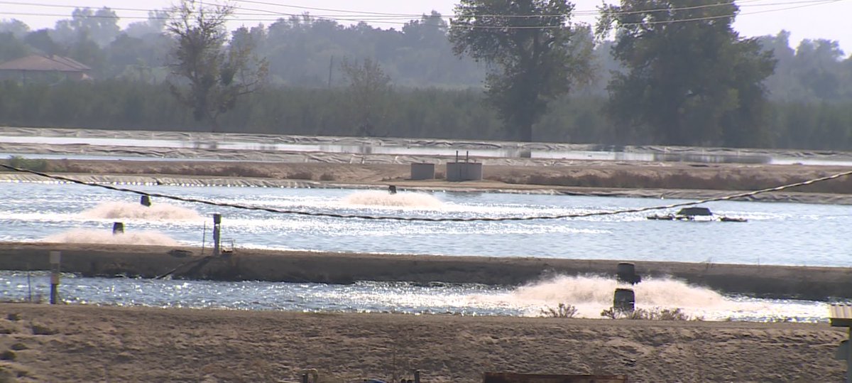 Why is there a foul odor in Sanger? City says liquid waste from Gibson Winery and Pitman Farms that flow into the industrial wastewater treatment plant don’t mix well. Public Works director says they are working on the problem. Luckily it’s only a seasonal odor.