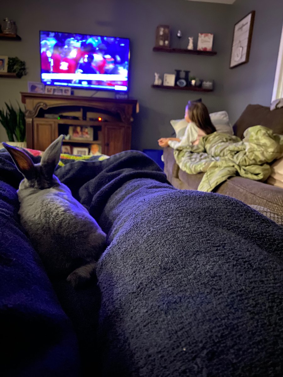 CrystalH_1st's tweet photo. Every”bunny” in this house cheers for Husker volleyball #B1GBLOCKPARTY https://t.co/yXVnIQL6yv