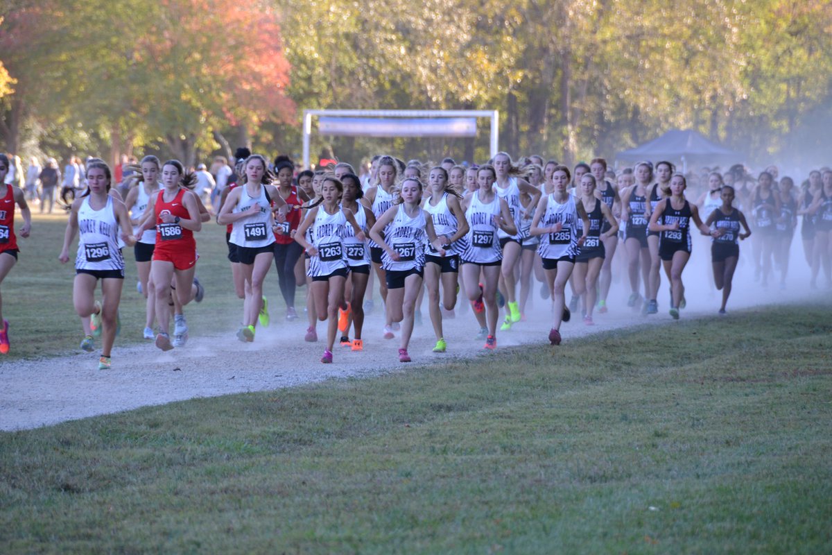 akxctf's tweet photo. Women's XC claimed their 5th straight SoMeck Conference Championship today. 6 of the 12 ALL Conference runners (Wells, Boland, Fenton, Graue, Kimpson, Wren) were wearing purple.  Great day to be a KNIGHT!  @AKSportsInfo @NCRunners https://t.co/jXhxVBqxCF