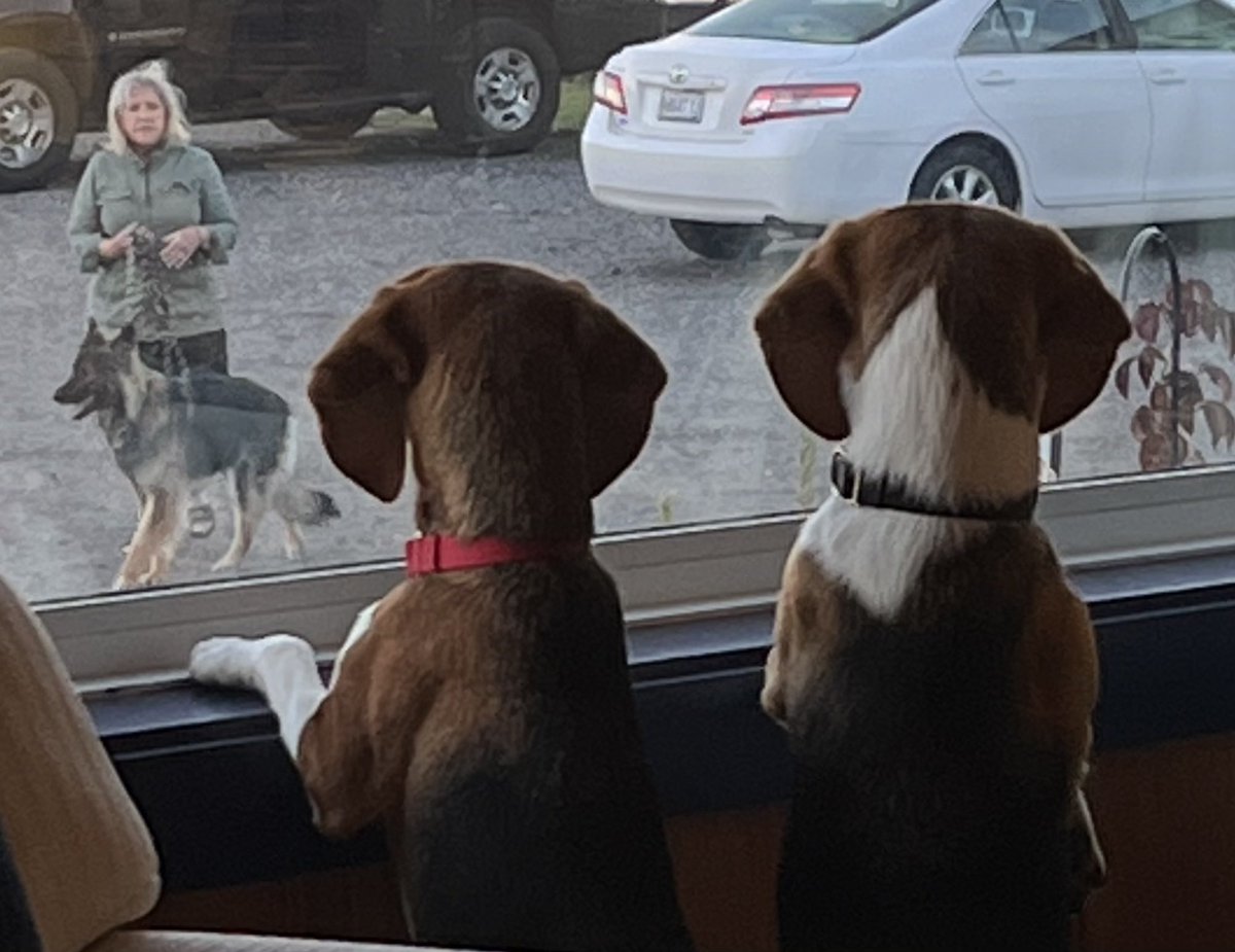 cindykingathome's tweet photo. @MarkWarner Thank you from Ivy and Willow https://t.co/yZQMkjNtbr