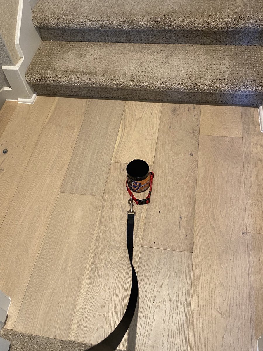Hey @notghoststories the dog you sent me is acting weird

(Use code “GHOST” at <a href="/Juggernaut/">Juggernaut Energy</a> so you can get your dog today!)