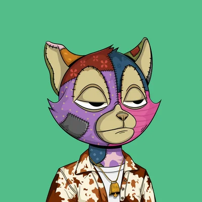 ₿ozo ₿aggins tweet media