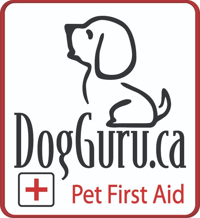 DogGuru's tweet photo. We are EXCITED to announce we are back to teaching Pet First Aid!  Sun, Nov 6th at The Element Vaughan Southwest.
NOW is the time to get certified or re-certified!
 https://t.co/qeQcCyUc0V
DM us for a Re-Certification discount code if you have taken Pet First Aid with us before! https://t.co/Z8J18pRrxf