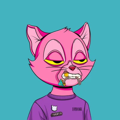 ₿ozo ₿aggins tweet media