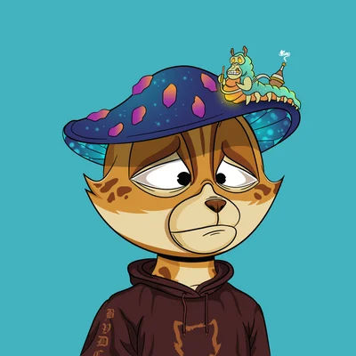 ₿ozo ₿aggins tweet media