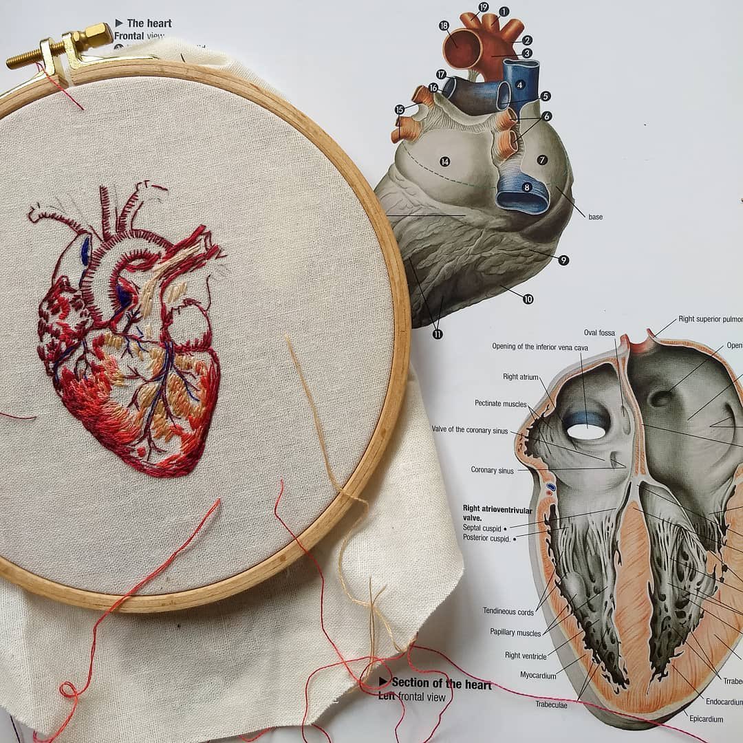 portrayaI's tweet photo. “The Anatomy of Embroidery Art” by Julie Campbell https://t.co/hQ4i5V0Oyx