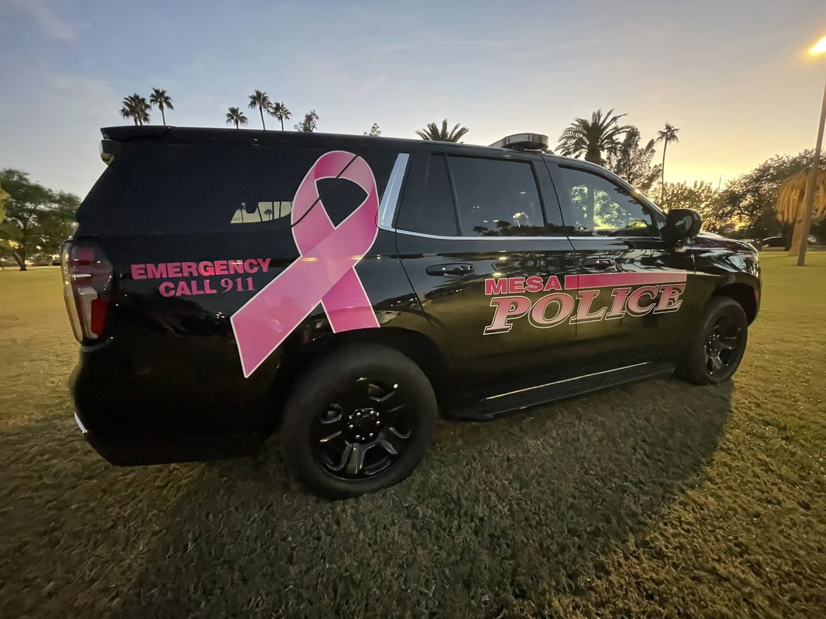 La ciudad de Mesa, Az está llevando a cabo una noche de concientización sobre la violencia doméstica, un evento para reunir a las personas y discutir el impacto devastador que la violencia doméstica tiene en la comunidad. Los detalles por <a href="/TelemundoAZ/">Telemundo Arizona</a>