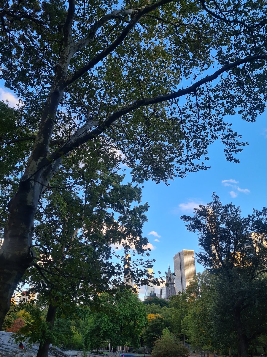 And a visit to <a href="/CentralParkNYC/">Central Park</a> for our last evening here. The ice rink is just being set up and we were spotting all the locations from the movies. #centralpark #nyc <a href="/SydenhamHigh/">Sydenham High School GDST #fearnothing</a> <a href="/sydsixthform/">Sydenham High Sixth Form</a>