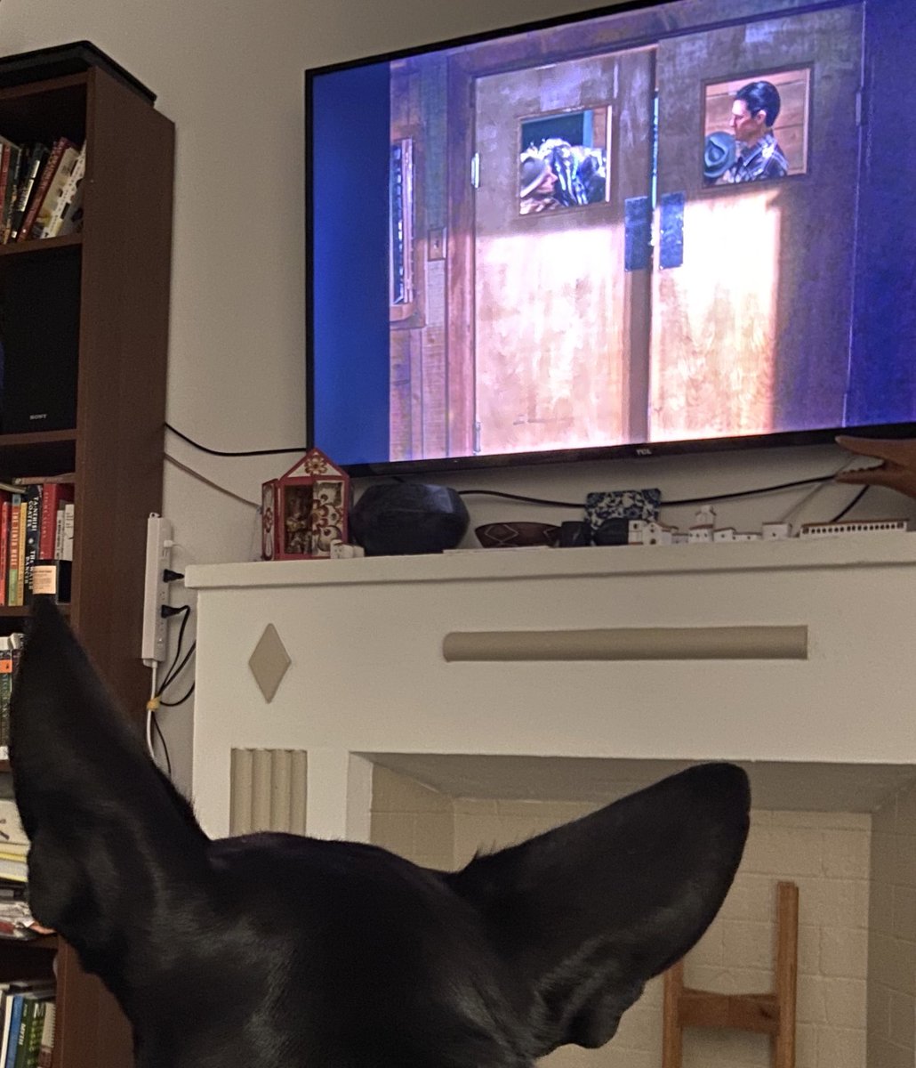 alberthuber's tweet photo. Nemo’s ears are the real Twin Peaks. https://t.co/McK04Rzoxg