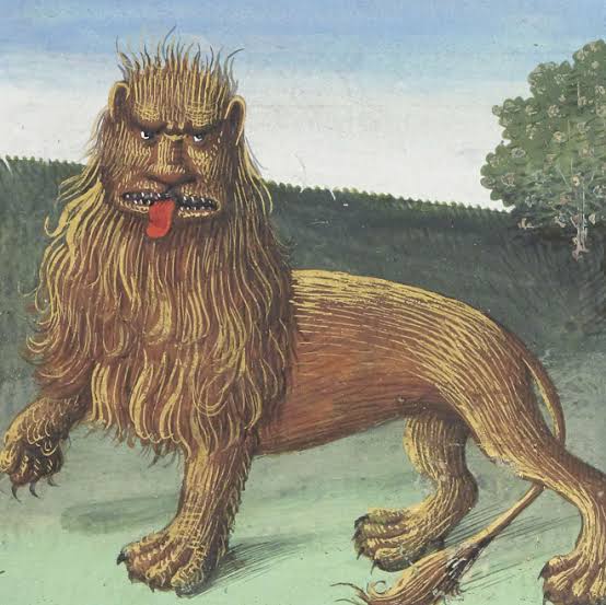 DimeFred2's tweet photo. —Qué guapa
—Dime algo que no sepa
—En la Edad Media se pintaban leones horribles. Esto, porque casi nadie los conocía de cerca, así que los pintores recolectaban descripciones para pintarlos. Quizá de ahí surgió el origen del refrán: “el león no es como lo pintan"
—Gracias
—👌 https://t.co/jyywYtdEO1