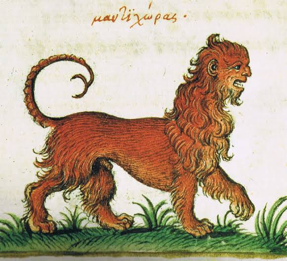 DimeFred2's tweet photo. —Qué guapa
—Dime algo que no sepa
—En la Edad Media se pintaban leones horribles. Esto, porque casi nadie los conocía de cerca, así que los pintores recolectaban descripciones para pintarlos. Quizá de ahí surgió el origen del refrán: “el león no es como lo pintan"
—Gracias
—👌 https://t.co/jyywYtdEO1