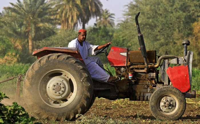 ewnupdates's tweet photo. Crisis-hit Sudan faces biggest threat yet: climate change https://t.co/aKAMDzflqy https://t.co/tiL4IZOEdh