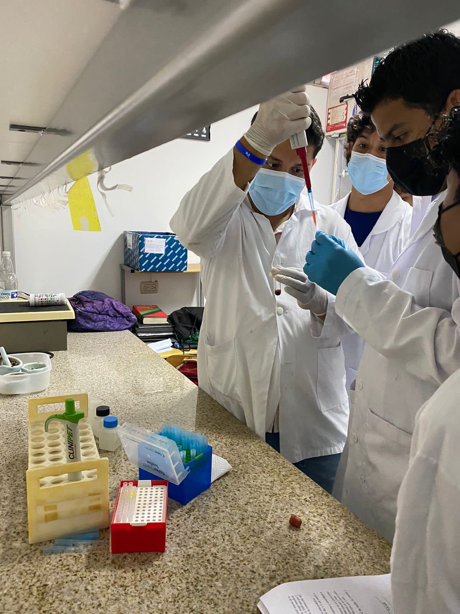 PanchoZ33328286's tweet photo. Seguimos avanzando en victorias y de la mano de nuestro gobierno sandinista. ❤️🖤✌️
Práctica de: Extracción de ARN viral para el diagnóstico molecular de Norovirus en Concha, mediante RT-PCR. Dpto MICROBIOLOGÍA

#UVEDenisSilva  #LeonRevolucion https://t.co/rWatVUo9f3