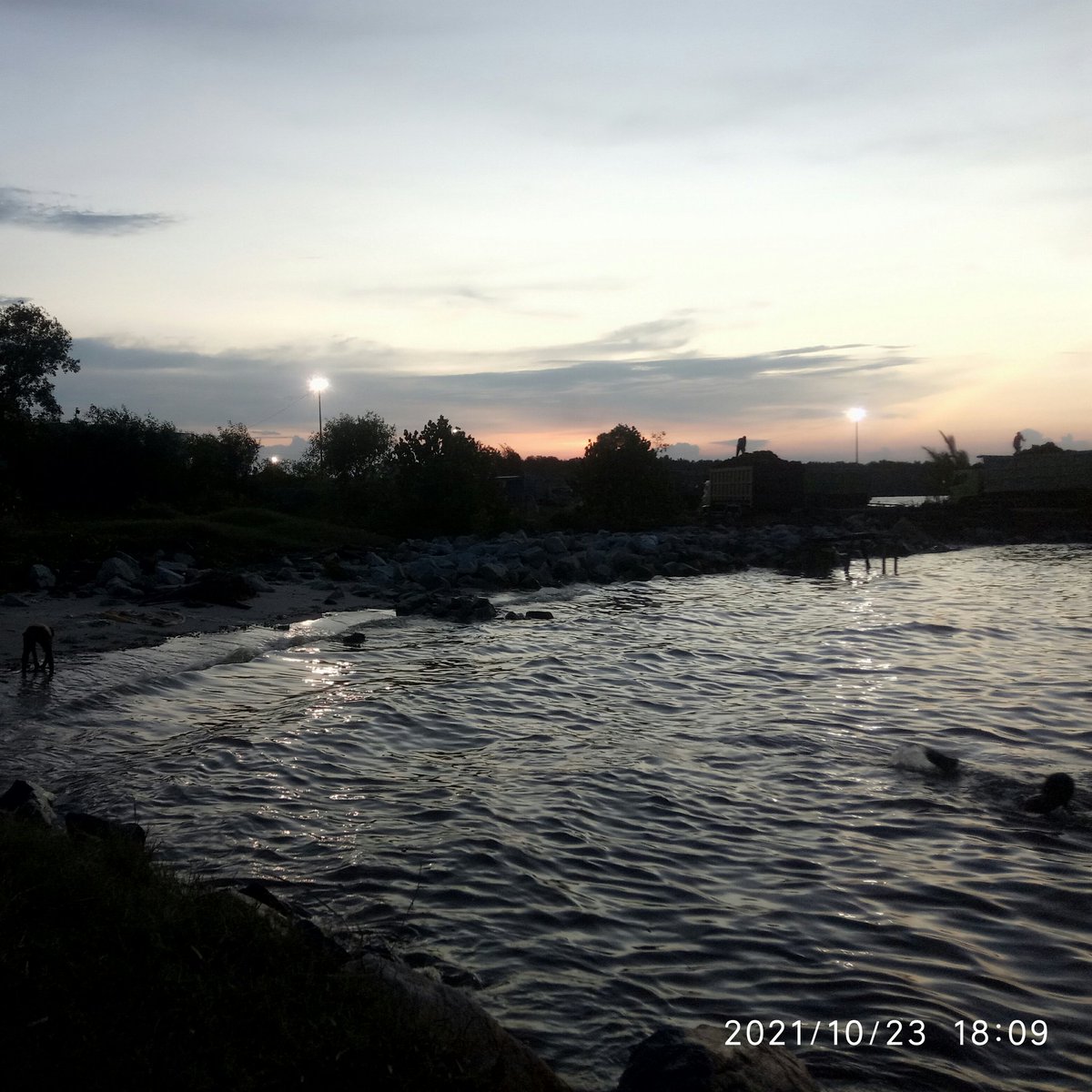 MfaAudio tweet picture