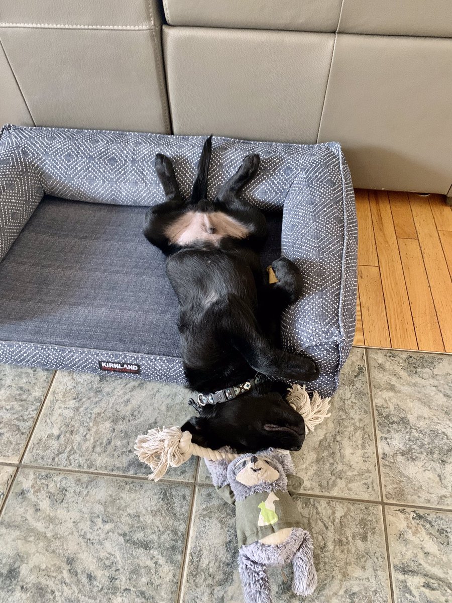 “Bad news, Babe. The dog died”….