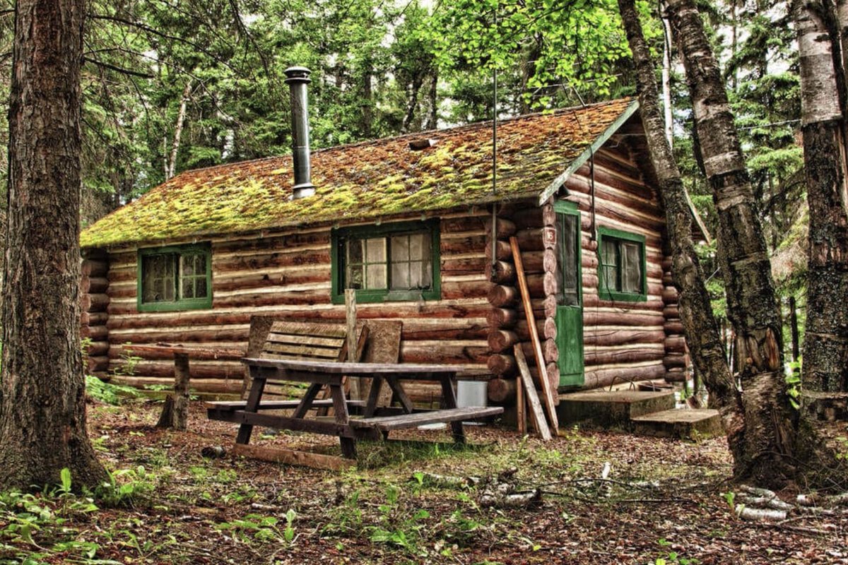 cowboytermite's tweet photo. Who wants to help me eat Matt's cabin? #TermiteTwitter #MitesUnite https://t.co/zvjz0EP5ko