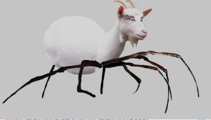 MortarPestleUSA's tweet photo. Remember SpiderPig from the #Simpsons? Someone actually made a #SpiderGoat! https://t.co/GicU378N3g … See for yourself! https://t.co/dsmXPVAF3f