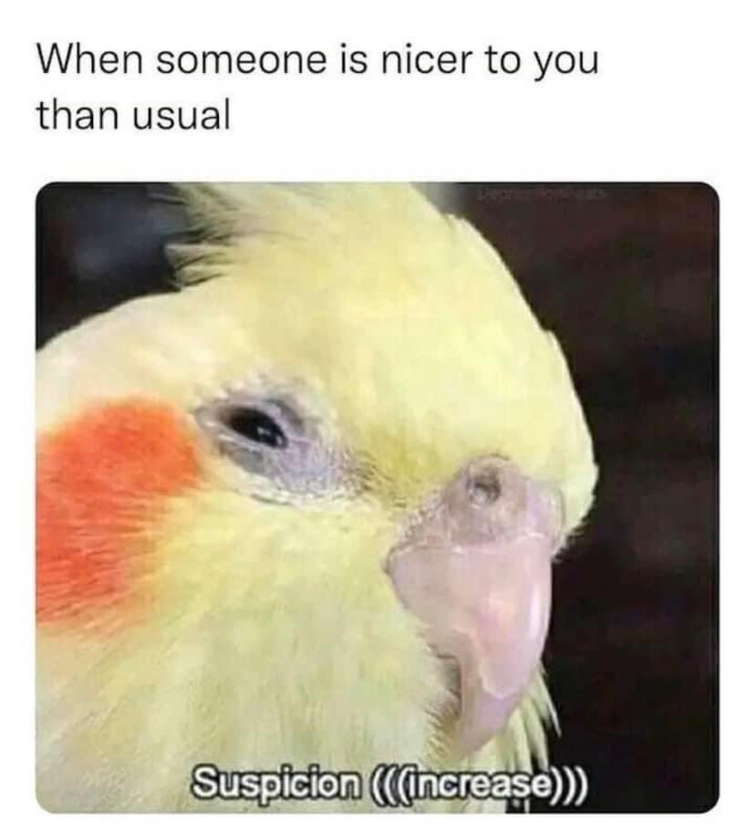 Burnin&Yearnin (@loudlyburning) on Twitter photo 