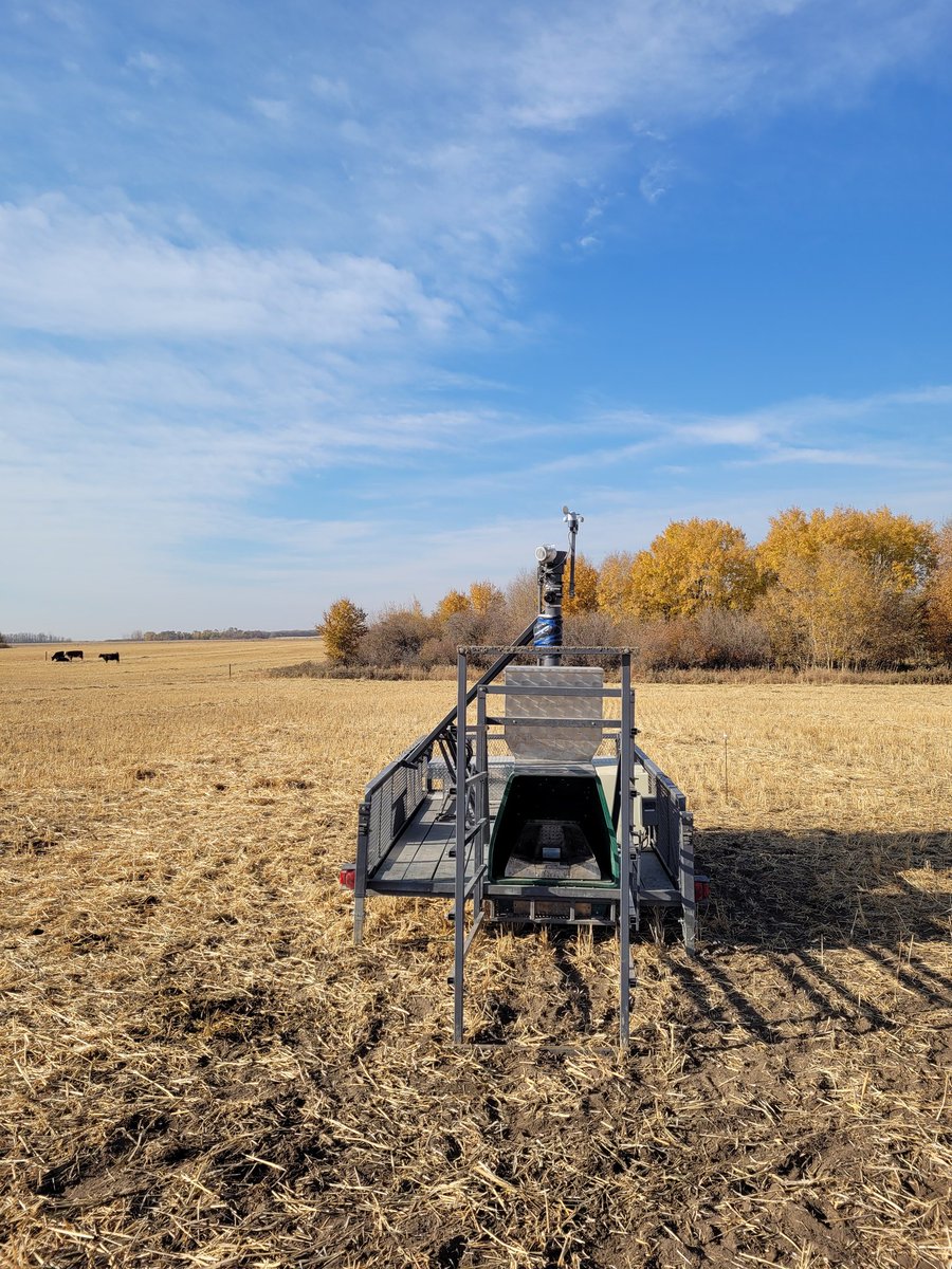 Dr Bart Lardner π¨π¦ (@drbart_beef) on Twitter photo Great day with <a href="/EWilliams_CBC/">Ethan Williams</a> GHGemissions & BeefCattle <a href="/ShelbyRobinson_/">Shelby Robinson</a> #MScResearch #AppliedBeefResearch #AppliedForageResearch #ExtensiveGrazing #CoverCrops #NutrientCycling <a href="/K_Nielsen2/">Kaitlyn Nielsen</a> <a href="/GraemeFinn1/">Graeme</a> <a href="/albertabeef/">Alberta Beef</a> <a href="/BeefResearch/">Beef Cattle Research</a> <a href="/LFCE_usask/">Livestock & Forage Centre of Excellence</a> <a href="/obiohadurunna/">Dr. Obioha Durunna</a> <a href="/agbiousask/">USask AgBio</a> Great day with <a href="/EWilliams_CBC/">Ethan Williams</a> GHGemissions & BeefCattle <a href="/ShelbyRobinson_/">Shelby Robinson</a> #MScResearch #AppliedBeefResearch #AppliedForageResearch #ExtensiveGrazing #CoverCrops #NutrientCycling <a href="/K_Nielsen2/">Kaitlyn Nielsen</a> <a href="/GraemeFinn1/">Graeme</a> <a href="/albertabeef/">Alberta Beef</a> <a href="/BeefResearch/">Beef Cattle Research</a> <a href="/LFCE_usask/">Livestock & Forage Centre of Excellence</a> <a href="/obiohadurunna/">Dr. Obioha Durunna</a> <a href="/agbiousask/">USask AgBio</a>