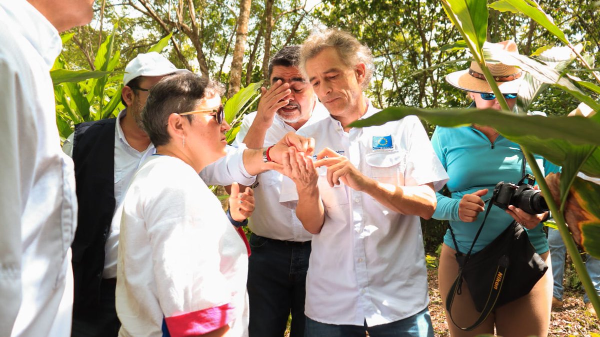El Jefe de Cooperación de <a href="/UEGuatemala/">Unión Europea en Guatemala</a> conversa con productores de Cardamomo de caserío Sabaneta, Poptun, Petén que son apoyados por <a href="/ZapProyecto/">ProyectoZAP</a>, implementado por <a href="/AGEXPORTGT/">AGEXPORT</a>, para mejorar la calidad de su producto y conectarse con mercados internacionales en alianza con #ADECAR