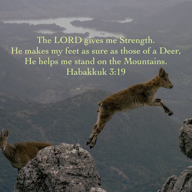 ManiPulimood's tweet photo. I will Rejoice in the LORD, 
I will Exult in the God of my Salvation.

Habakkuk 3:18 https://t.co/bJwVUWH3j4
