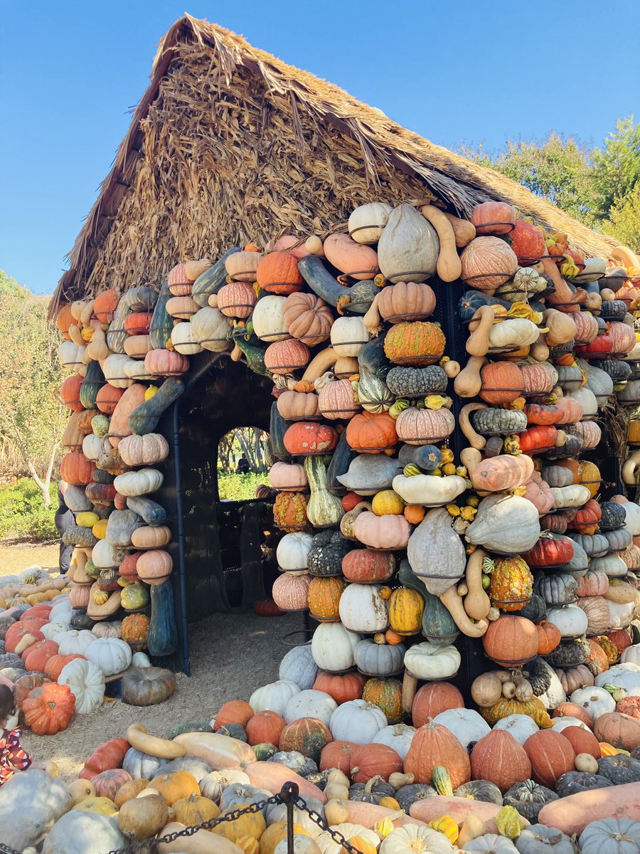 JenniferMaya7's tweet photo. #Fall @dallasarboretum 🎃 #fallvibes https://t.co/1PsmIgOGat