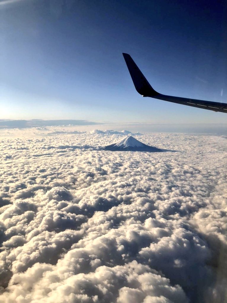 雲の中を突き抜ける富士山🗻 やっぱり日本一だね✨ #飛行機 #ANA #羽田空港 #富士山 #空