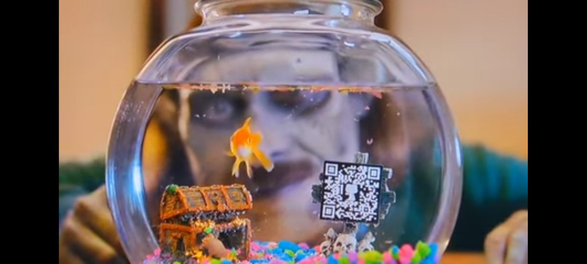 Maryann Moschides tweet media